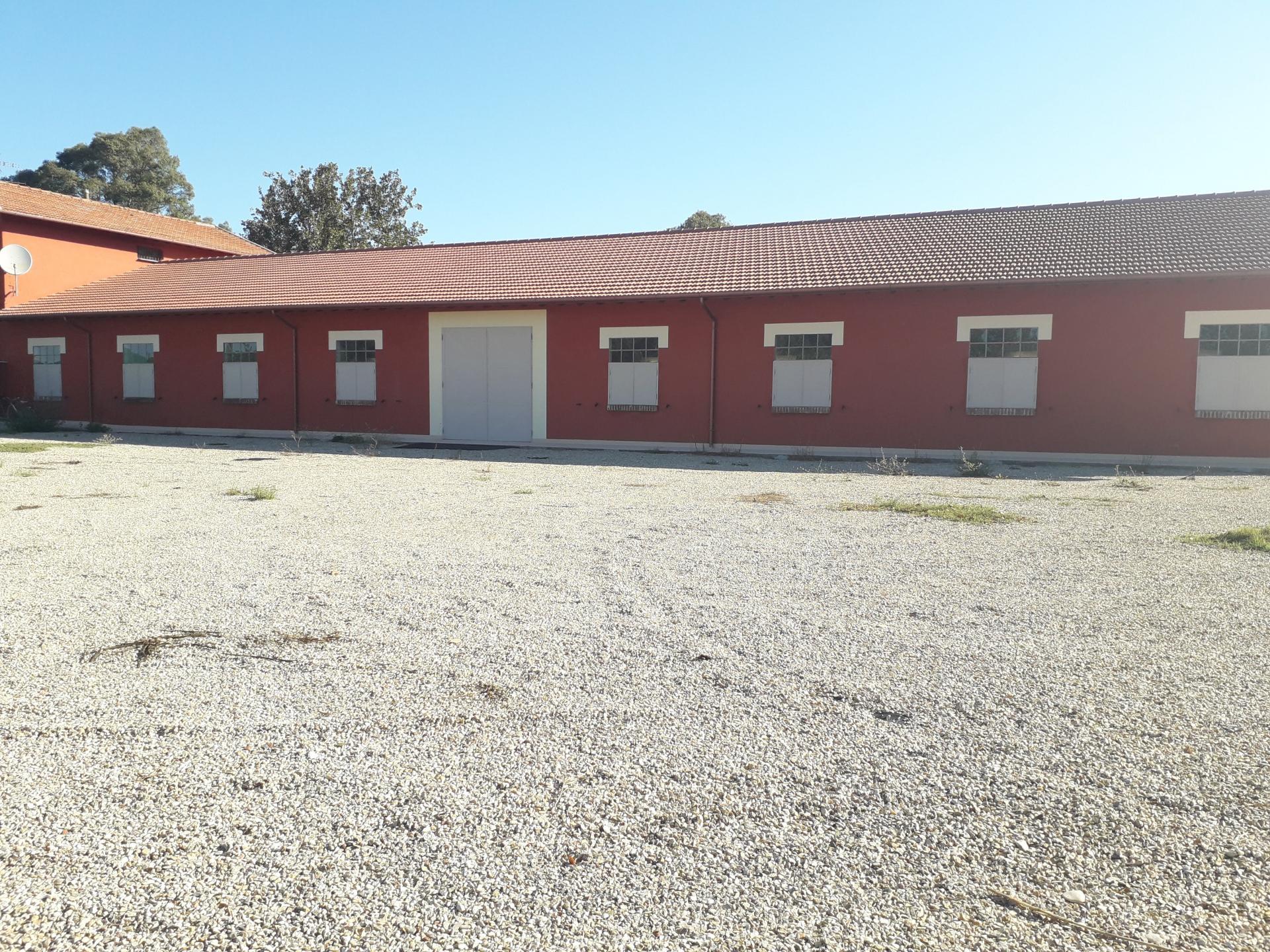 MACCARESE AFFITTASI CAPANNONE C/2 OTTIMO STATO RIF. A/55
