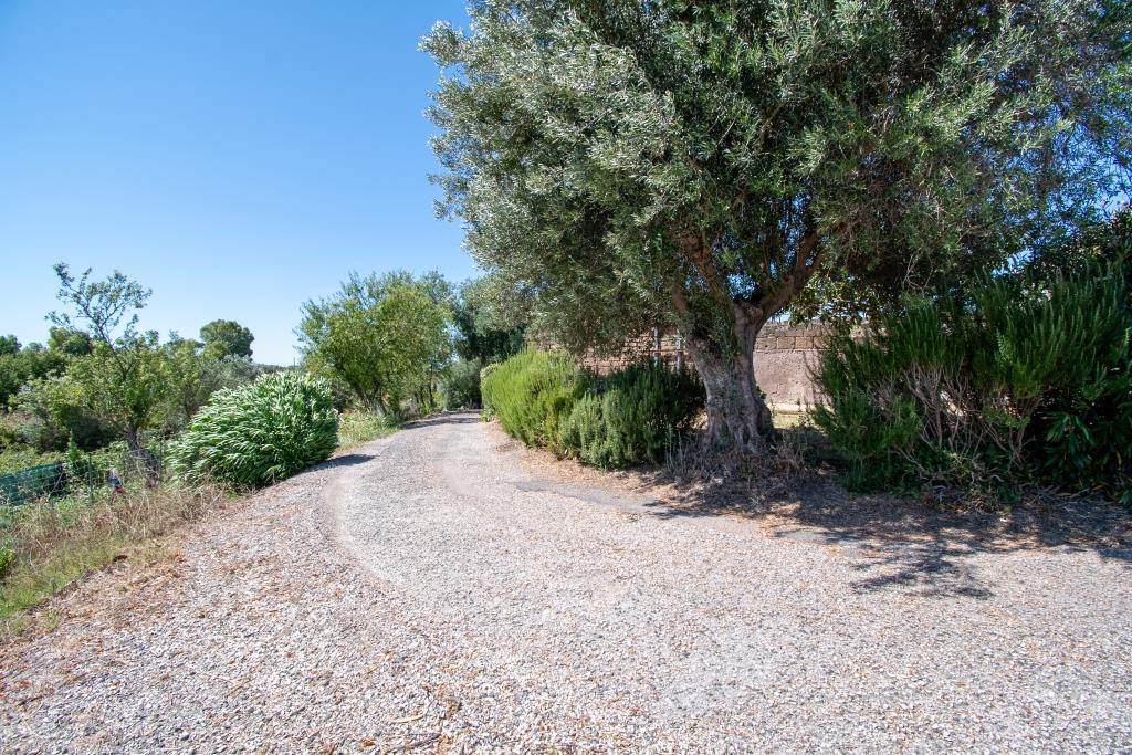TENUTA DI CAMPAGNA CON ABITAZIONI, MAGAZZINI, AUTORIMESSE E TERRENO RIF. V/150