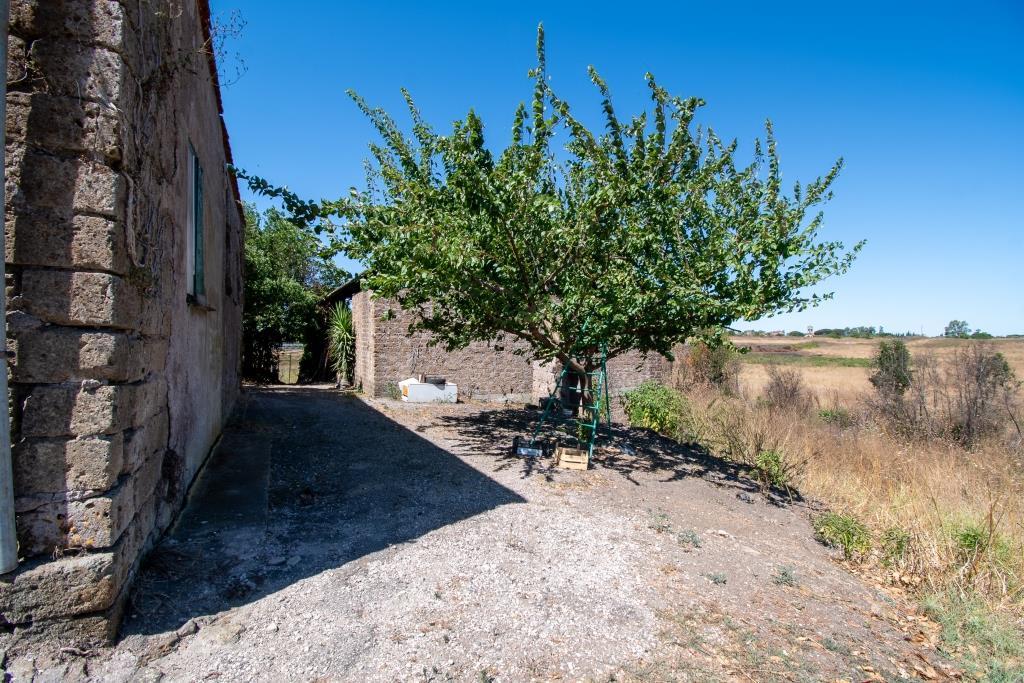 TENUTA DI CAMPAGNA CON ABITAZIONI, MAGAZZINI, AUTORIMESSE E TERRENO RIF. V/150