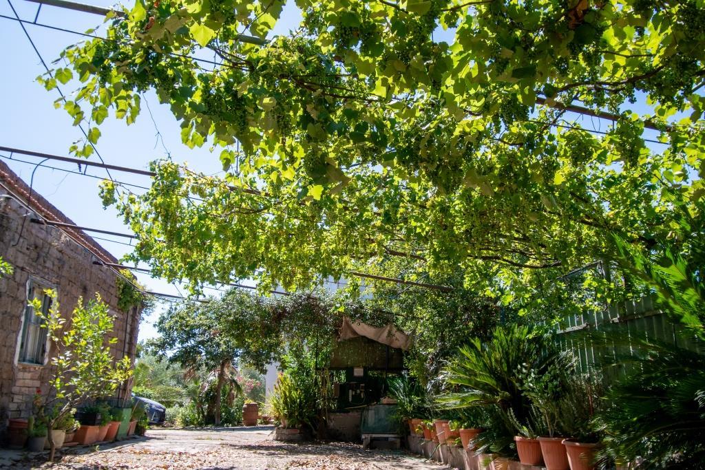 TENUTA DI CAMPAGNA CON ABITAZIONI, MAGAZZINI, AUTORIMESSE E TERRENO RIF. V/150