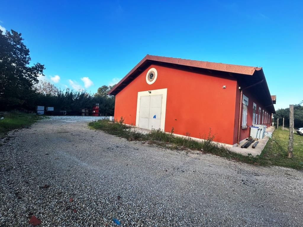 MACCARESE AFFITTASI CAPANNONE C/2 OTTIMO STATO RIF. A/55
