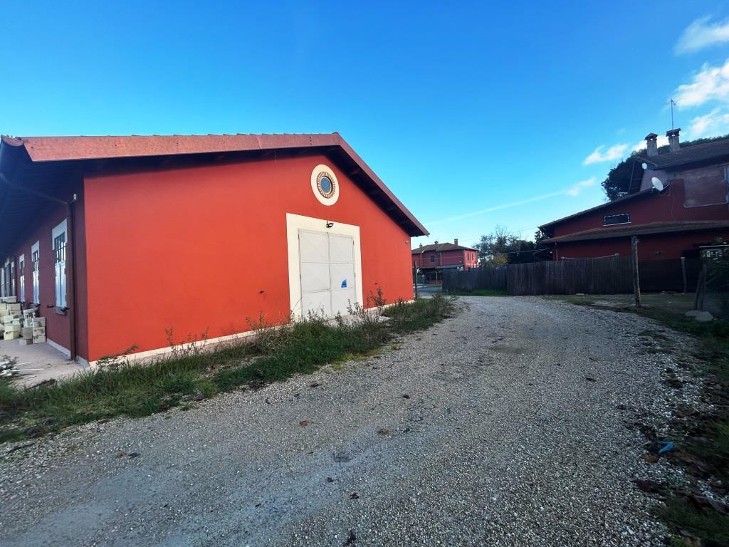 MACCARESE AFFITTASI CAPANNONE C/2 OTTIMO STATO RIF. A/55